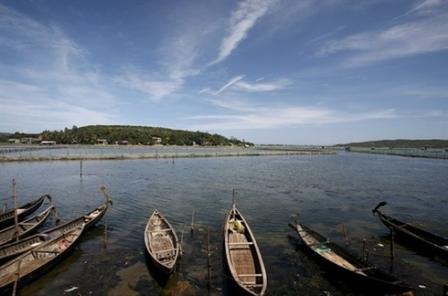 Les cinq marais et lagunes les plus célèbres du Vietnam